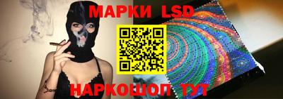 спиды Кингисепп