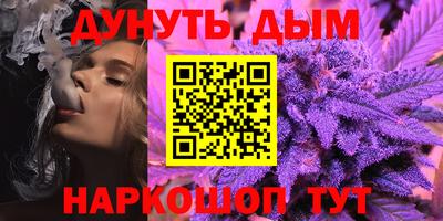 спиды Кингисепп