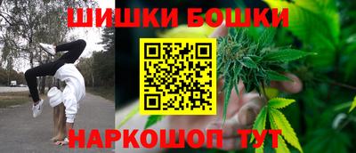 спиды Кингисепп