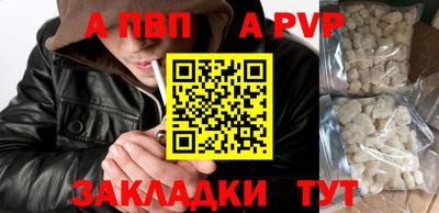 спиды Кингисепп