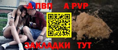 спиды Кингисепп
