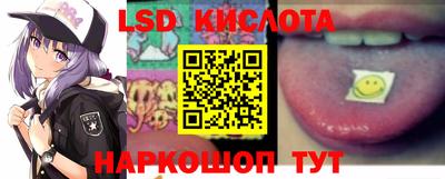 спиды Кингисепп